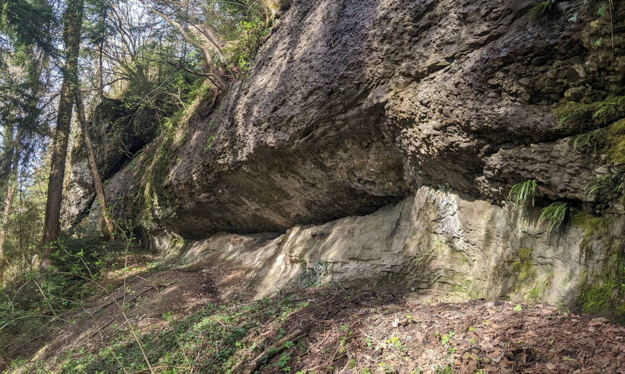 Nagelfluh-Sandstein-Wechsellagerung